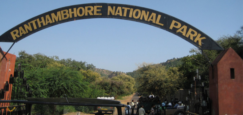 Rajasthan - Ranthambore National Park